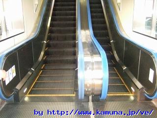 00037 �Q��ނ̃G�X�J���[�^�[