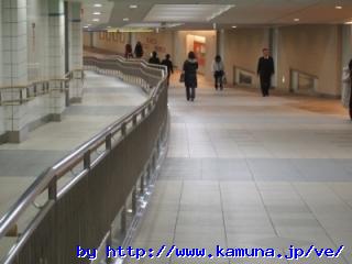 00061 �Q��ނ̃X���[�v