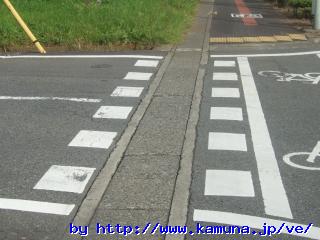 00095 �����Ɗ댯�ȉ��f����